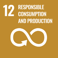 Icon 12 - Responsable Consumption and production