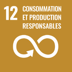 Icon 12 - consommation et production responsable