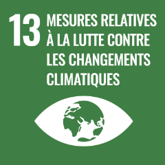 Icon 13 - Mesures relatives à la lutte contre les changements climatiques