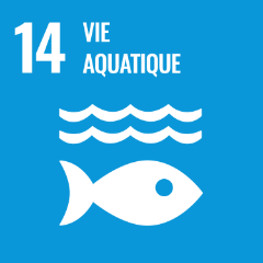 Icon 14 - vie aquatique